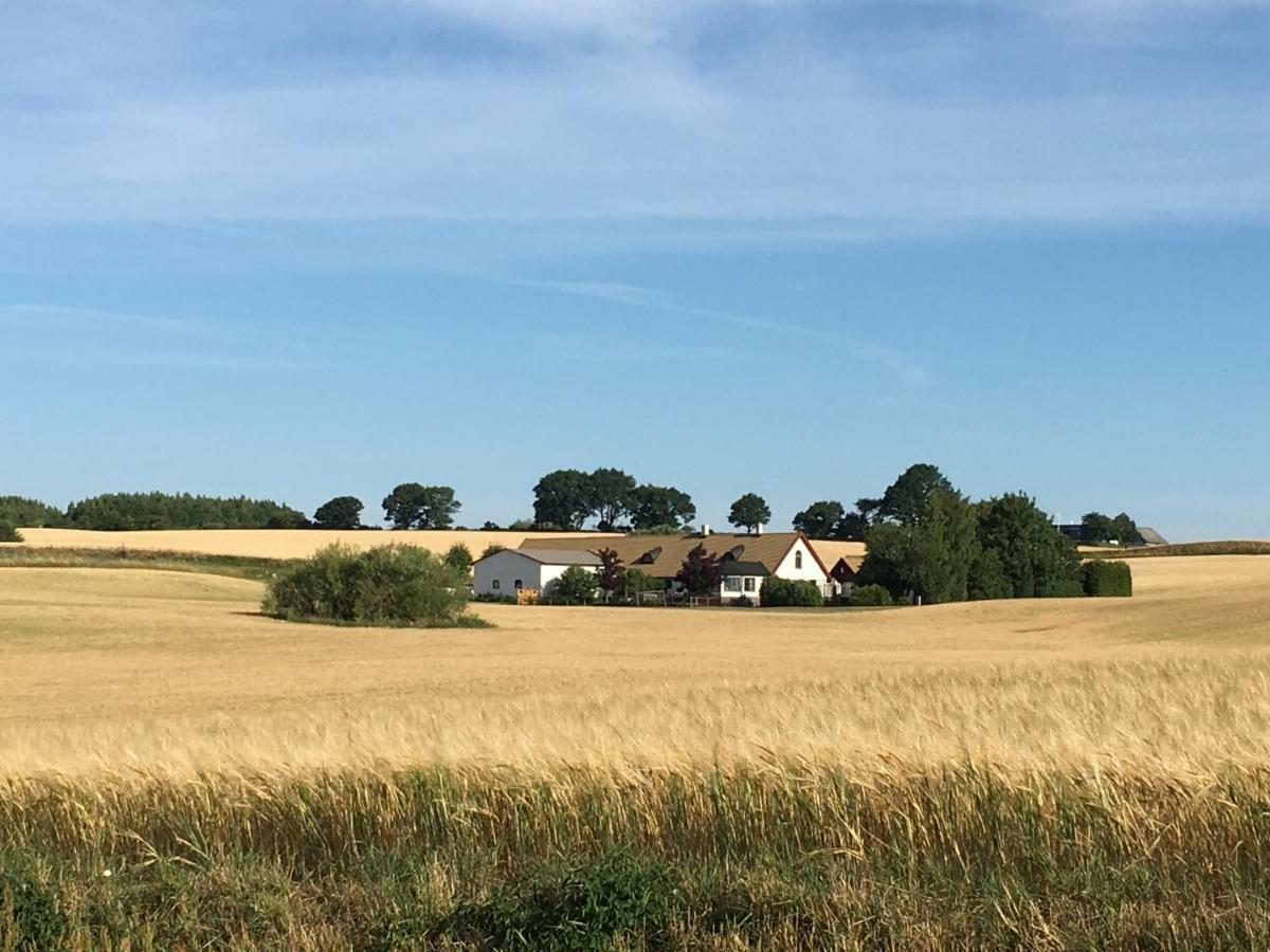 Stallet på Skårby Ystad Eksteriør bilde